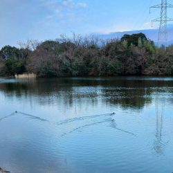 ルアーでチャレンジ 大安トラウトレイク